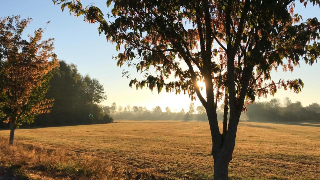 Mooiverblijf Oosterwolde  Bagian luar foto