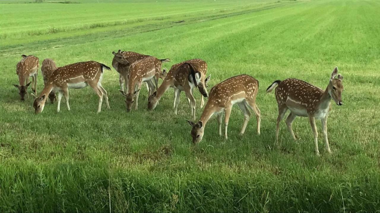 Mooiverblijf Oosterwolde  Bagian luar foto